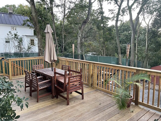 New construction huge deck - 169 Foster St