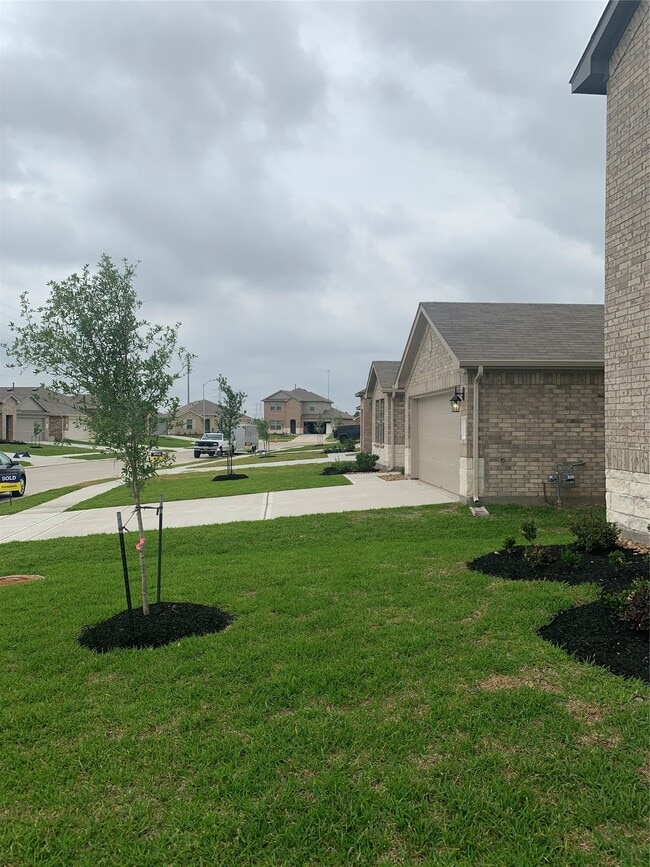 Building Photo - 4227 Isoletta Ct