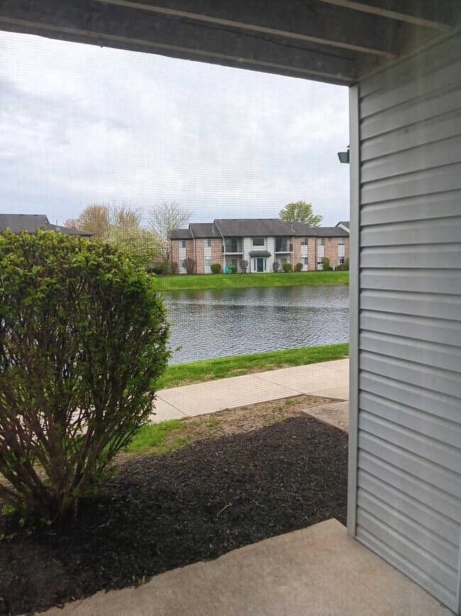 Building Photo - Beautiful 3-bedroom 2- bath apartment
