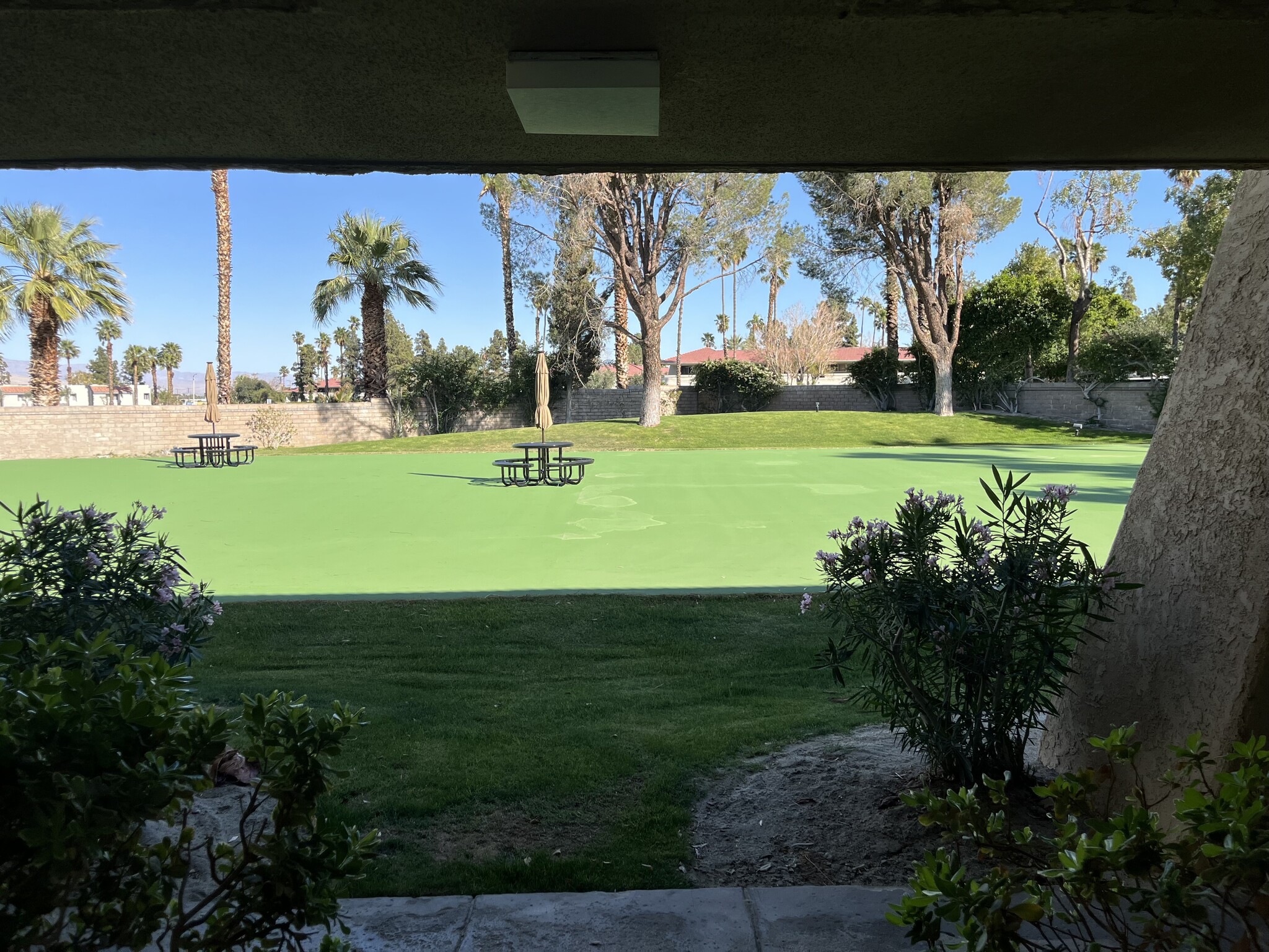 View from condo - 2810 N Arcadia Ct