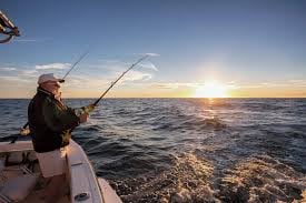 Building Photo - 3918 Las Vistas Ln