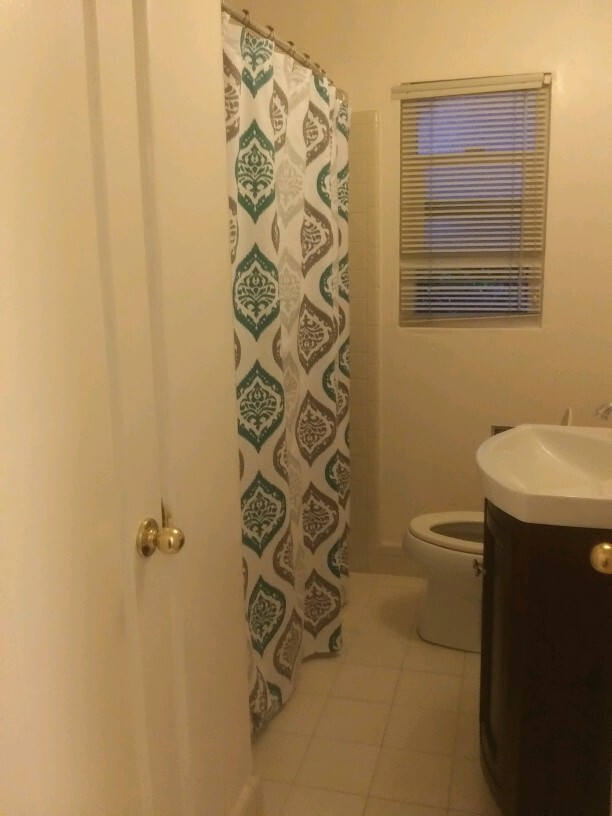 Apartment 2 Bathroom - 47 Atlas Ave