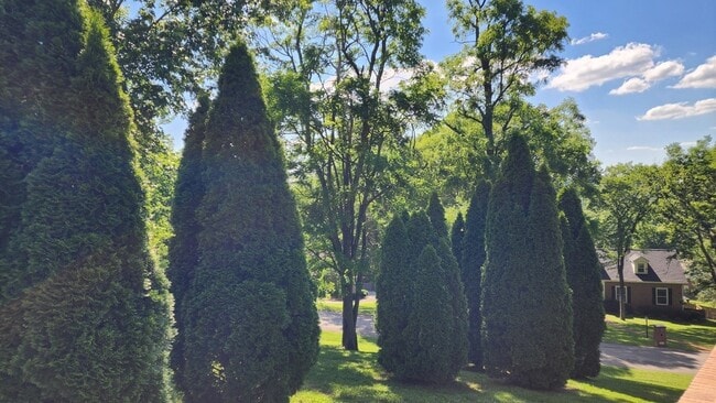 Building Photo - 204 Hogan Ln