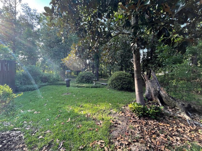 Building Photo - Mid-Century Modern Oasis on 5+ Acres – Pri...
