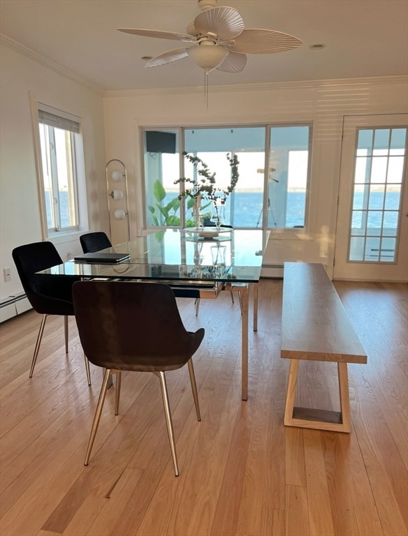 Building Photo - 39 Castle Rd