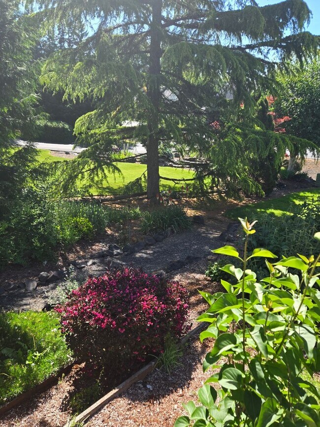 Building Photo - STATUS: PENDING APPLICATION-  | R17 | $ 2995