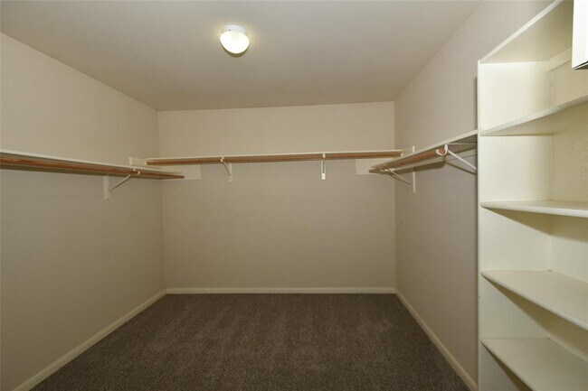 Building Photo - 16807 Luckenwald Dr