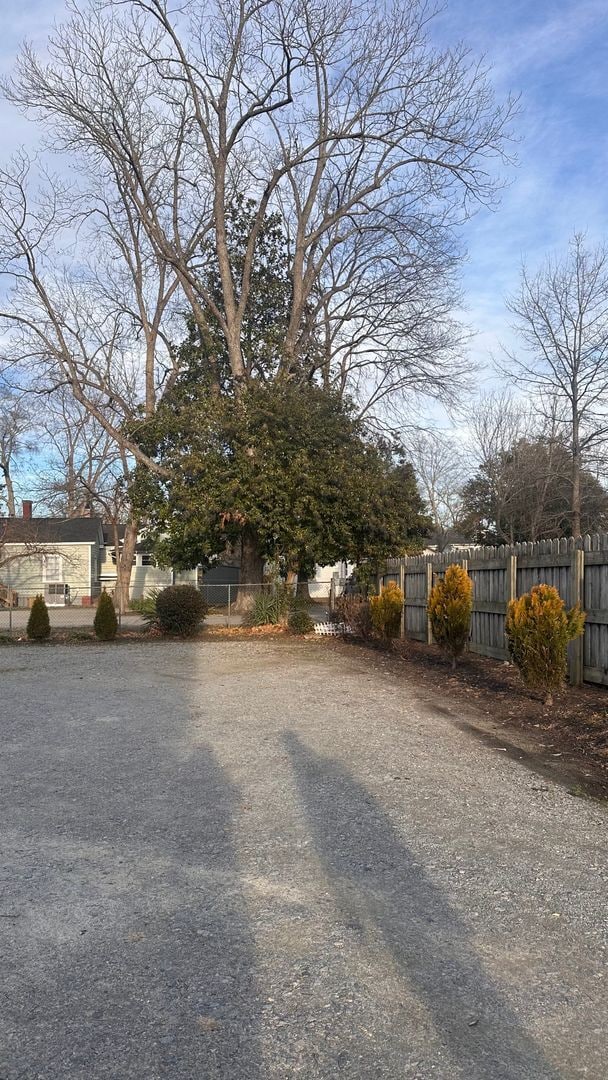 Building Photo - 407 St Andrew St