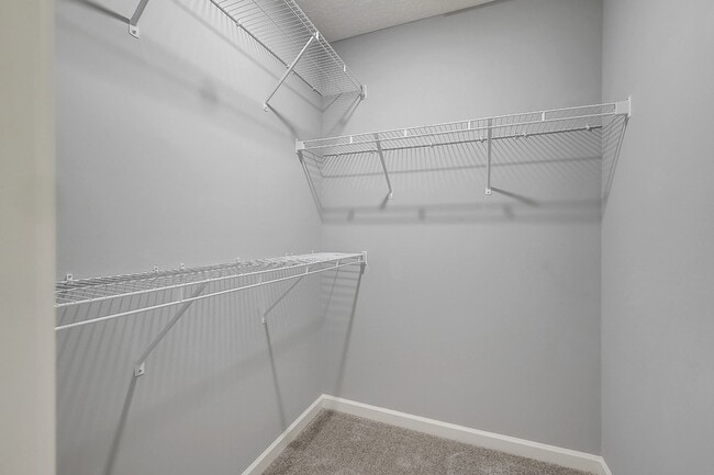 Building Photo - 3443 Donerail Cir
