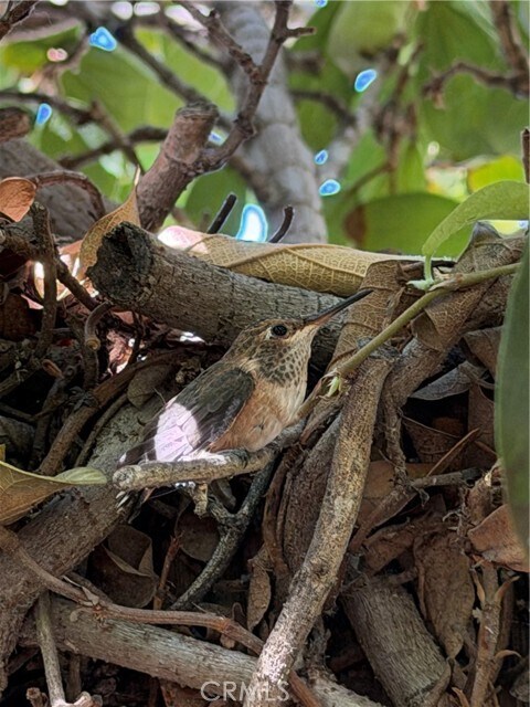 Building Photo - 4823 River Ave