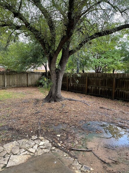 backyard - 3008 Longleaf Dr