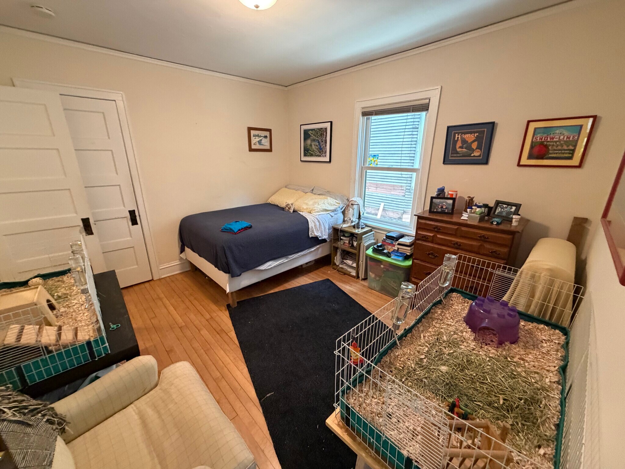 Building Photo - 1256 Spaight St