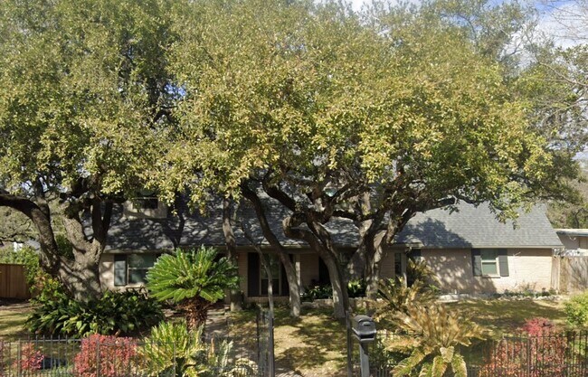 Building Photo - 259 Rockhill Dr