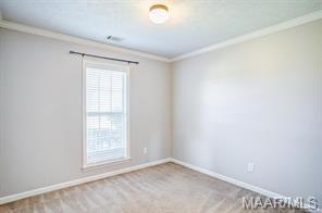 Building Photo - 1317 Centerfield Ct