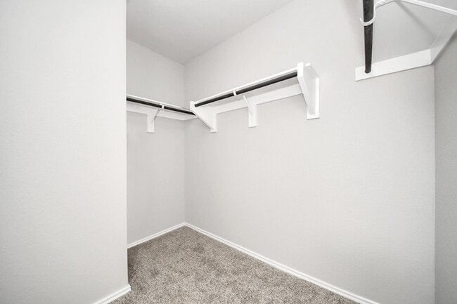 Building Photo - 16916 Rich Pines Dr