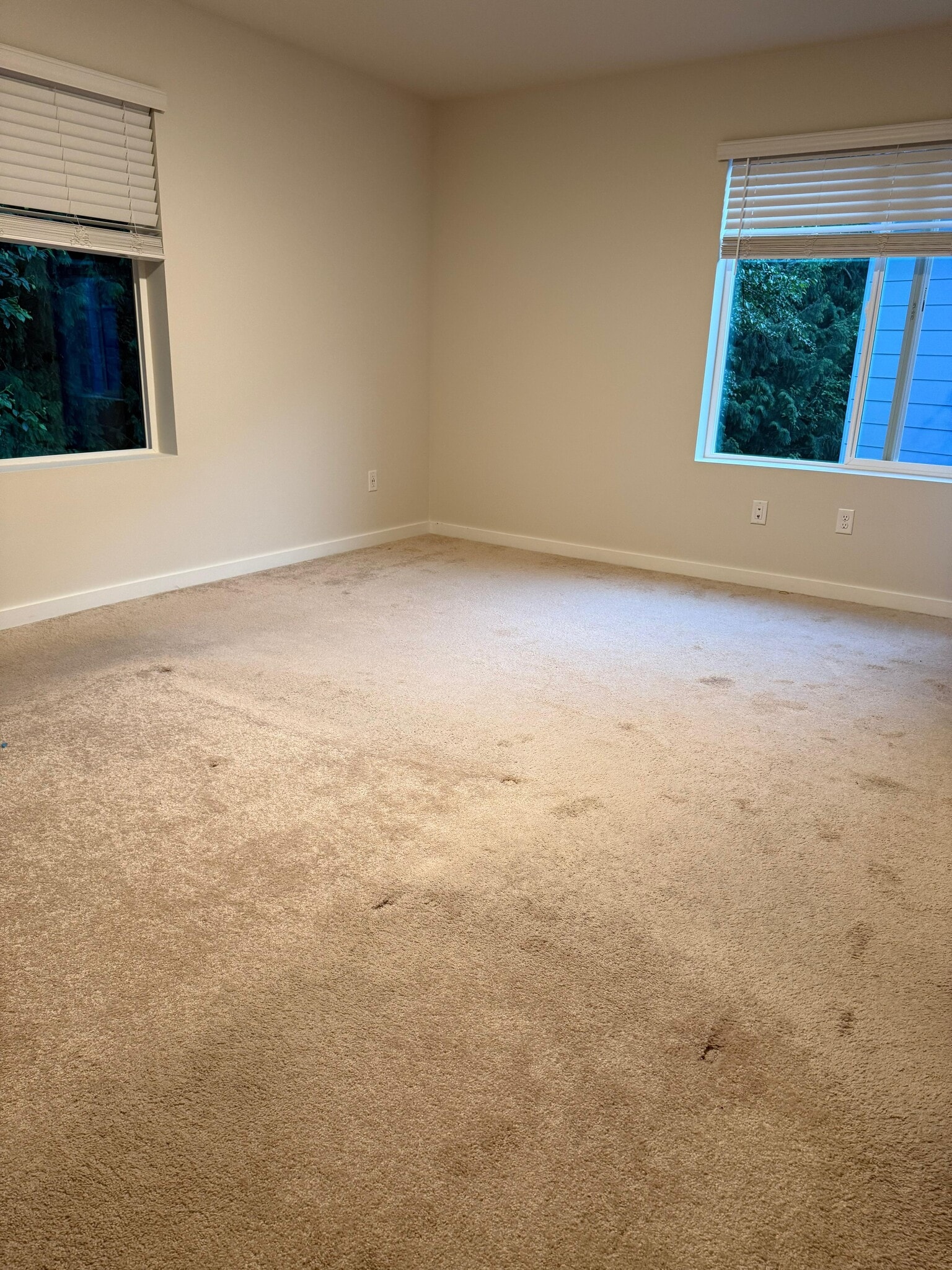 Master Bedroom - 13117 3rd Ave SE