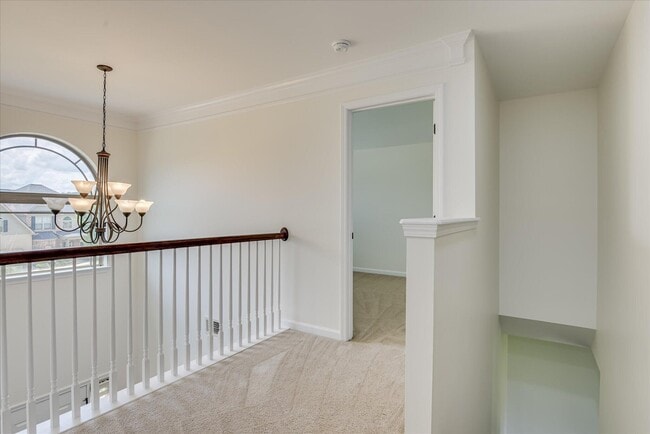 Building Photo - 873 Rollo Domino Cir