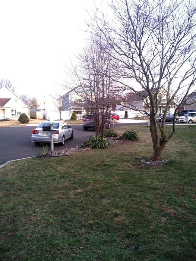 Building Photo - Spacious 3 bedroom house