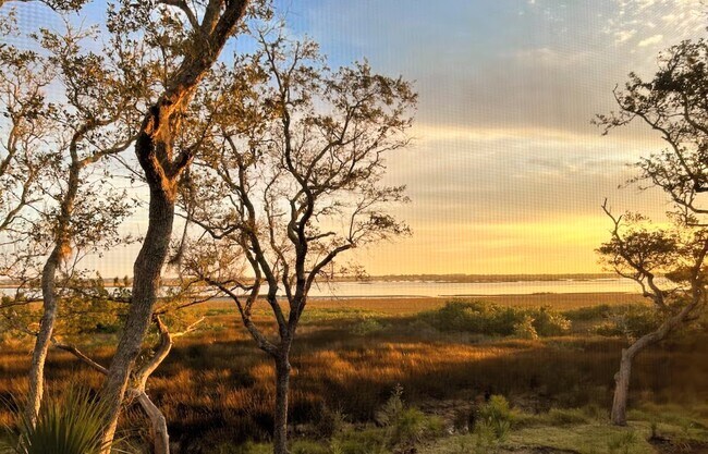 Building Photo - 28 Alcira Ct