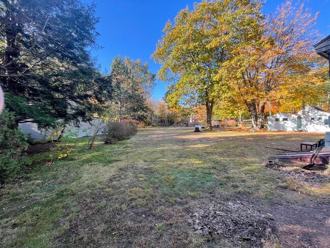 Building Photo - 139 Buck St