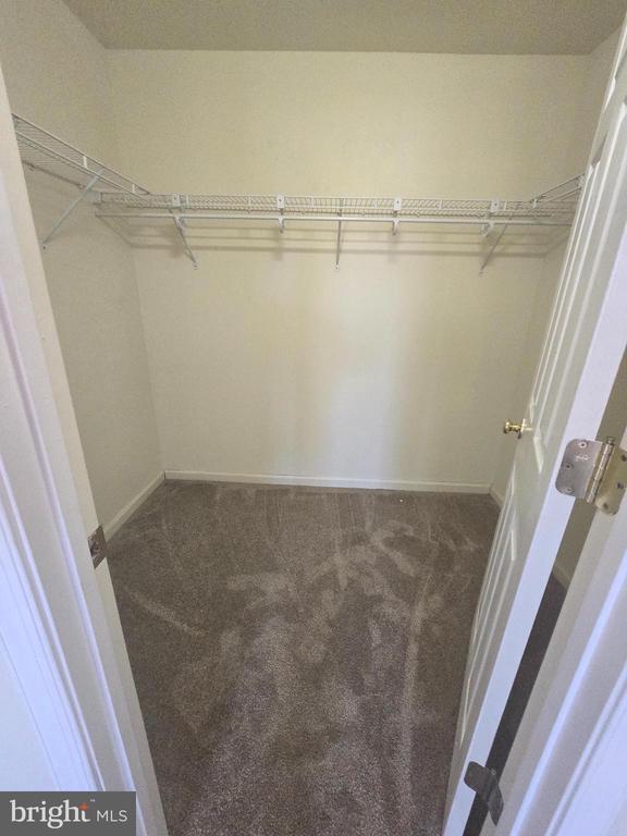 Building Photo - 471 Stonehedge Ln