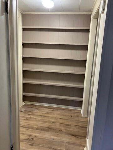 Building Photo - 71 Chapel St