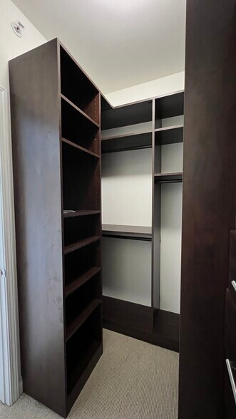 Master Bed Closet - 100 E 14th St
