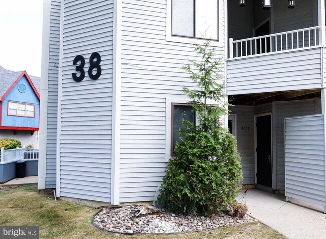 Building Photo - 3807 Babe Ct