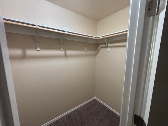 Building Photo - 8605 Owlcreek Pass Ct