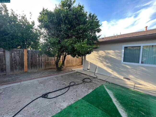 Building Photo - 1091 Alamo Ct