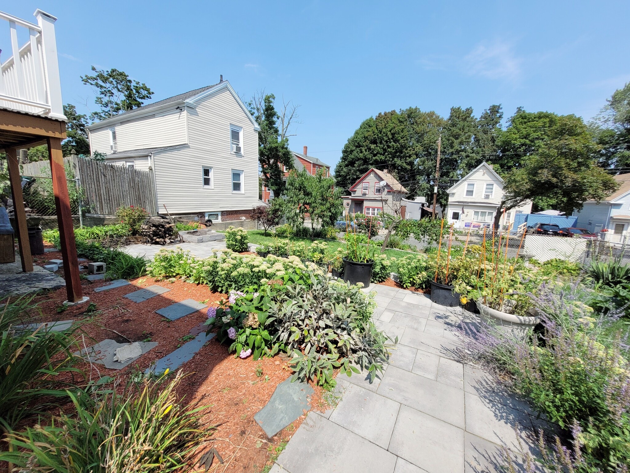 Backyard - 7 Wilson St