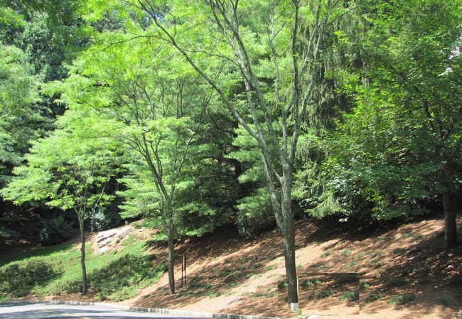 Professionally landscaped - 51 Mount Kemble Ave