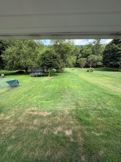 back yard(unmowed portion is included) - 956 Bedford St