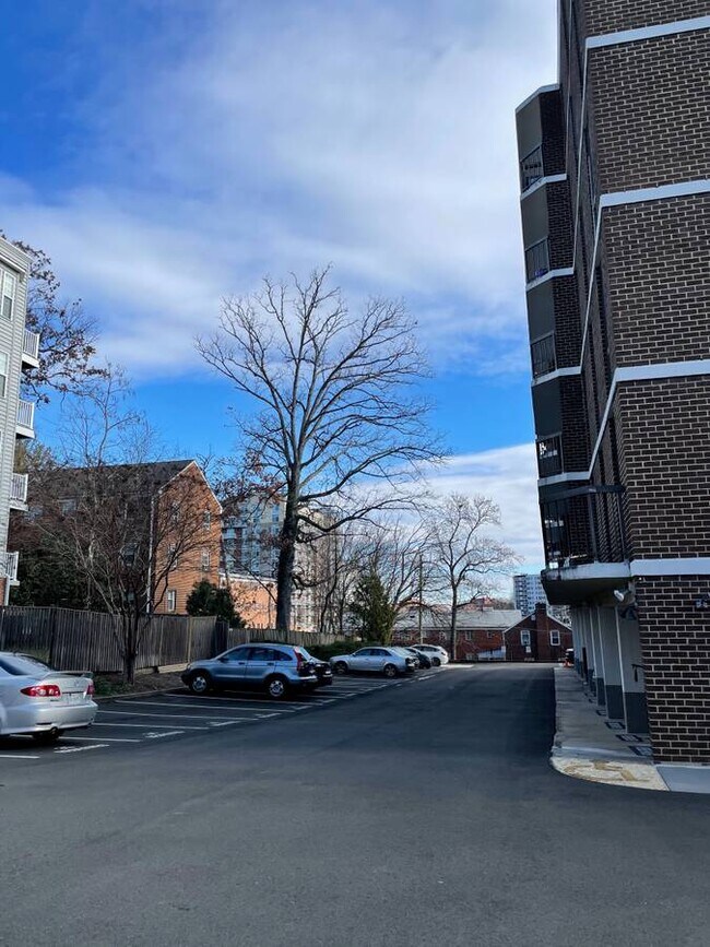 Designated parking spot in Parking Area; Guest Parking at front of building - 1401 N Rhodes St