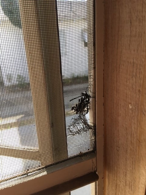 Building Photo - VOGT-120 West Pacheco