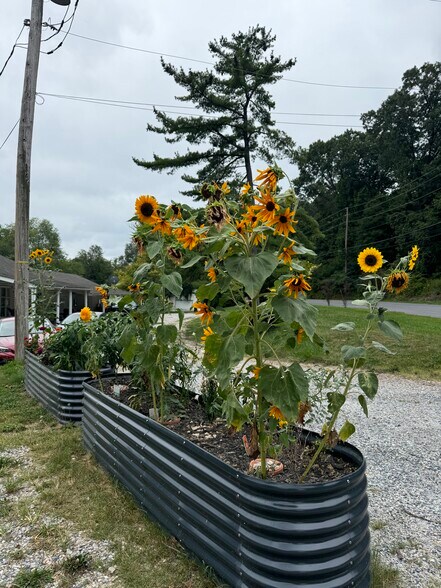 Building Photo - 2570 Sanger Ln