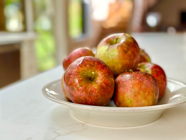 Building Photo - 85 Hillcrest Dr