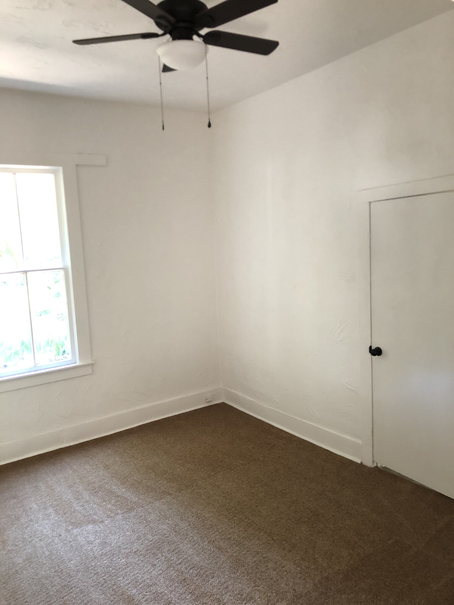 Room 1 - 205 N Mesa Verde Ave