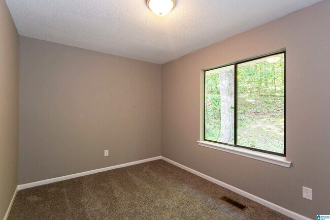 Building Photo - 9024 Village Mountain Cir