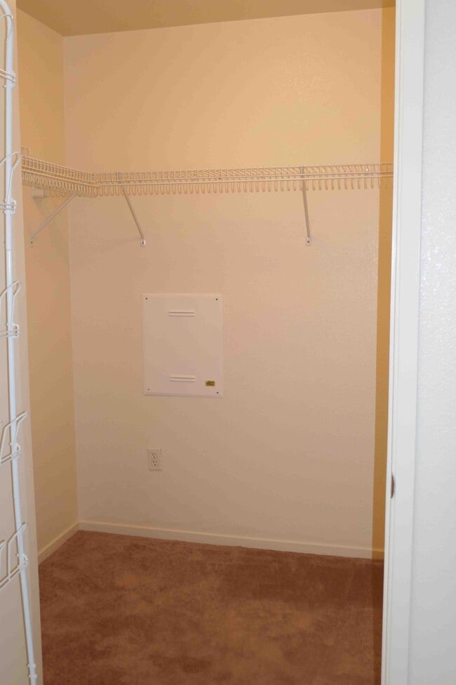 Building Photo - 31 Crissy Pl