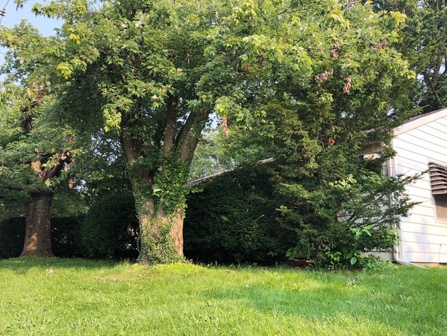 Building Photo - 417 E Hillside Dr