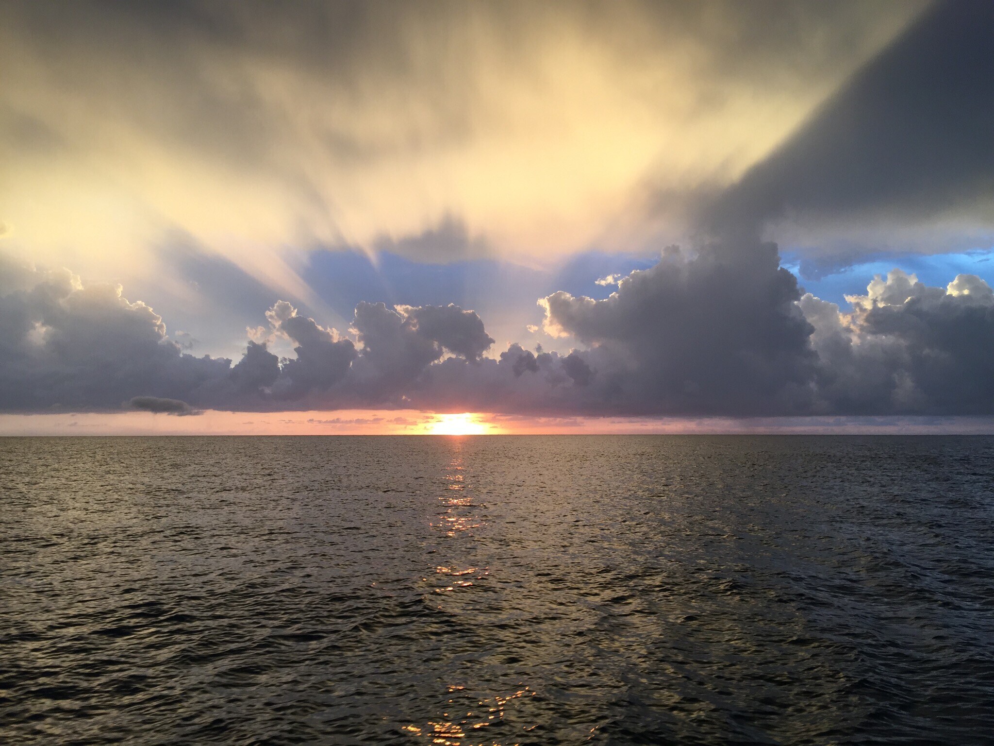 Building Photo - 1001 Arbor Lake Dr