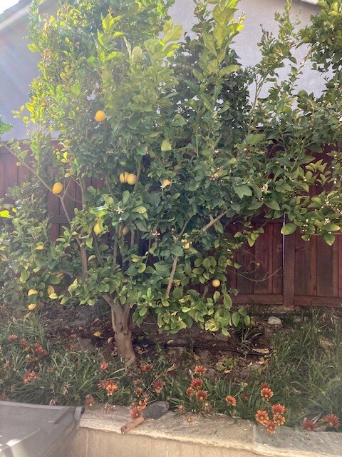 Building Photo - 35703 Date Palm St