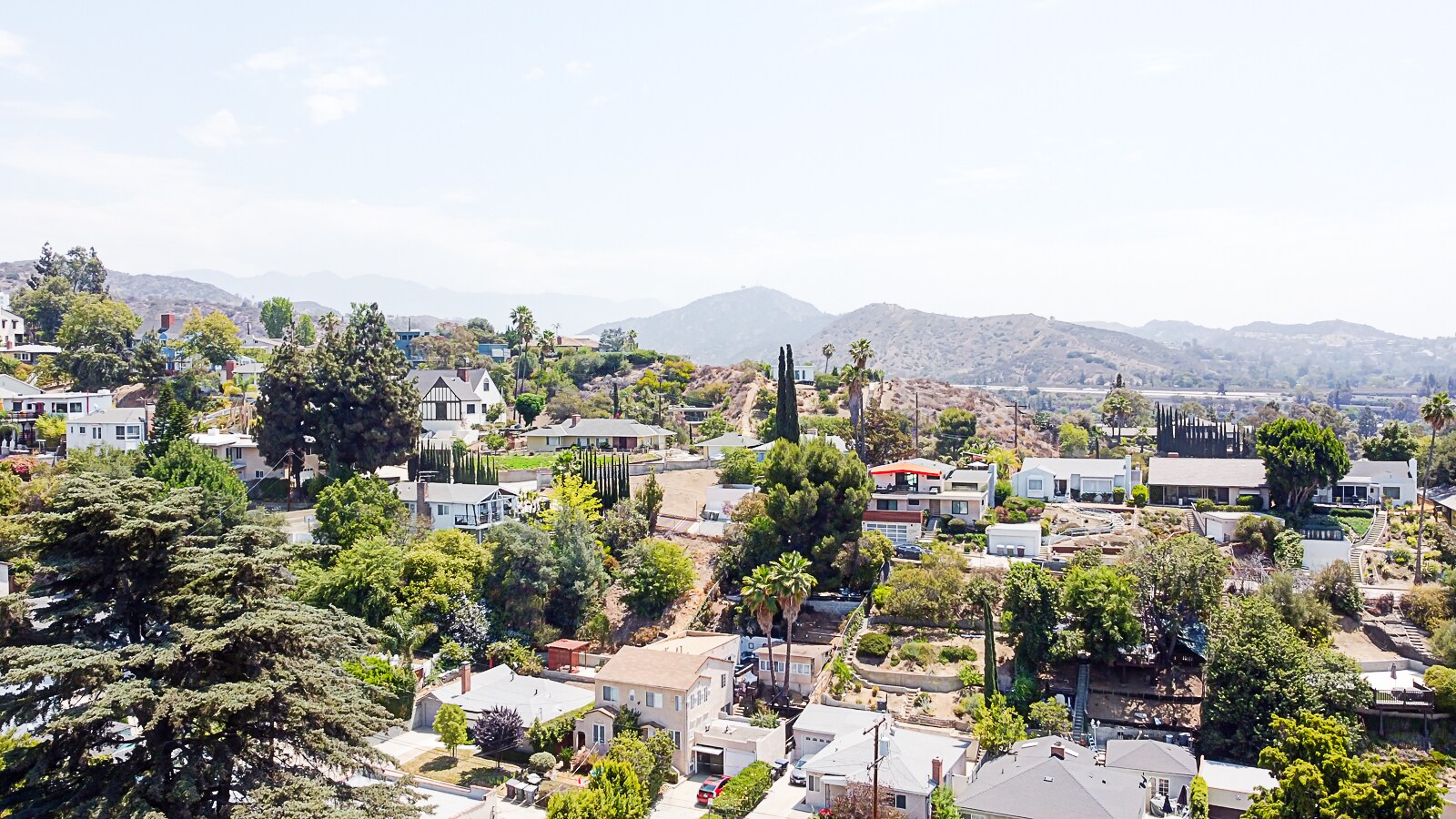 Building Photo - 556 Luton Dr