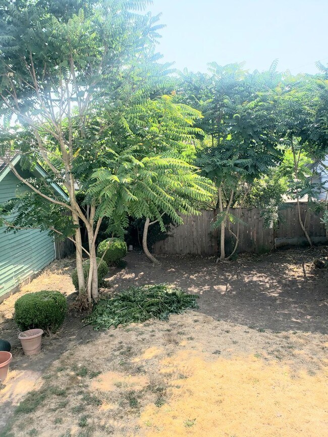 Building Photo - 3 Bedroom Near Elevator and Downtown Orego...
