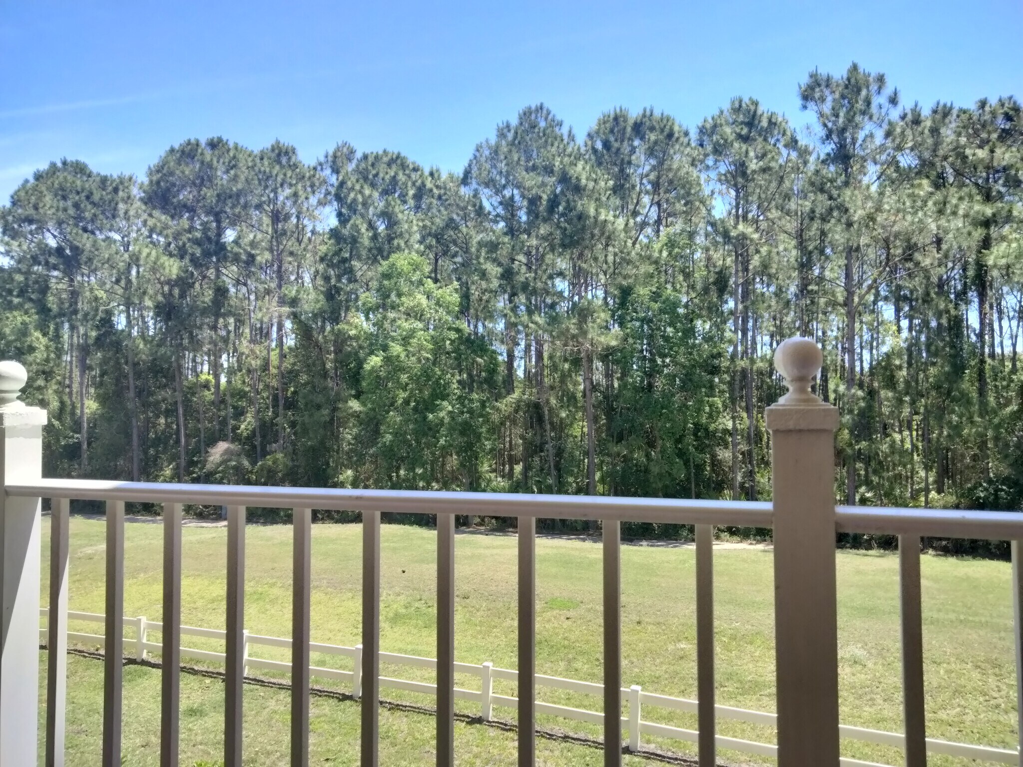 Building Photo - 520 Florida Club Blvd