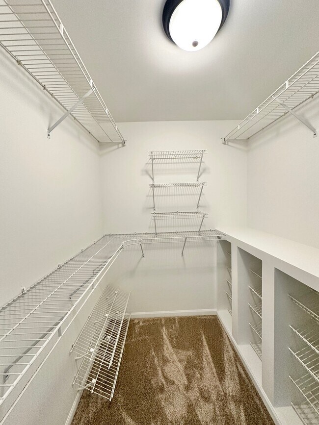 Building Photo - 224 Charlotte Pl