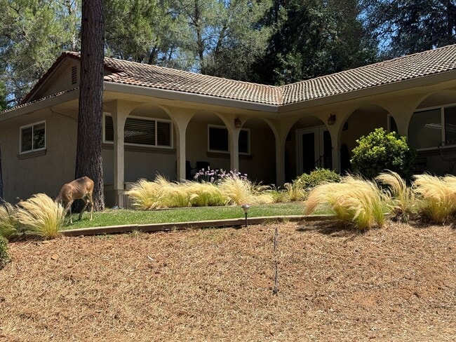 Building Photo - Beautiful Lake View Home for Rent in Lake of the Pines 3 Bed | 2.5 Bath | 1,775 Sq Ft