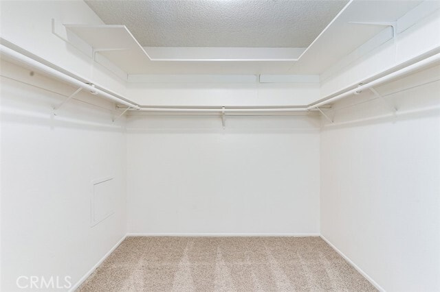 Building Photo - 23 Blazing Star