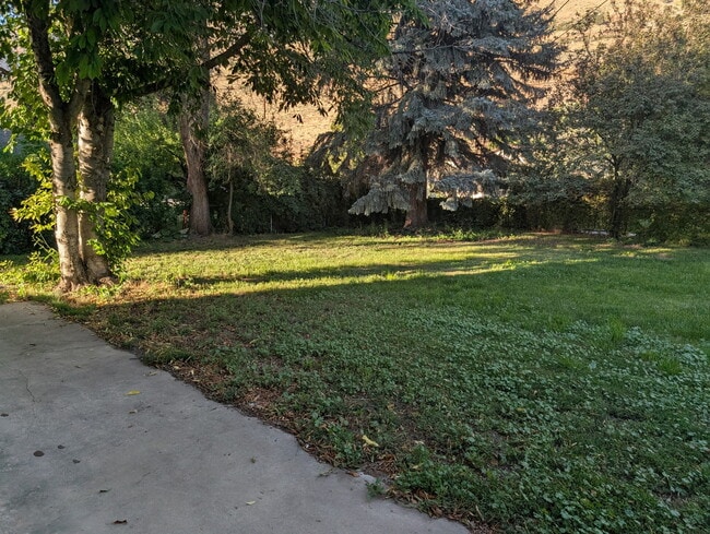 Building Photo - 880 Medoland Dr